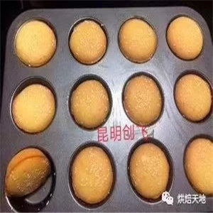 從入門到創業 網紅西點蛋糕學習指南與甜味烘焙產品進階之路