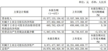 物聯(lián)網(wǎng)市場全景掃描 十家上市公司半年報數(shù)據(jù)深度解析與應(yīng)用服務(wù)趨勢洞察